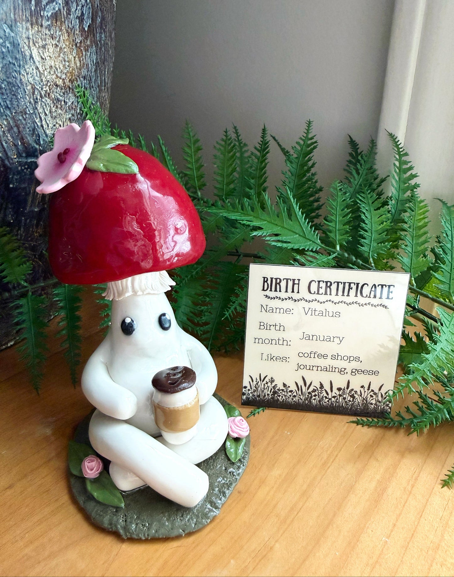 Small figurine with a red mushroom hat and cup, next to a 'Birth Certificate' card on a wooden surface with plants in the background.